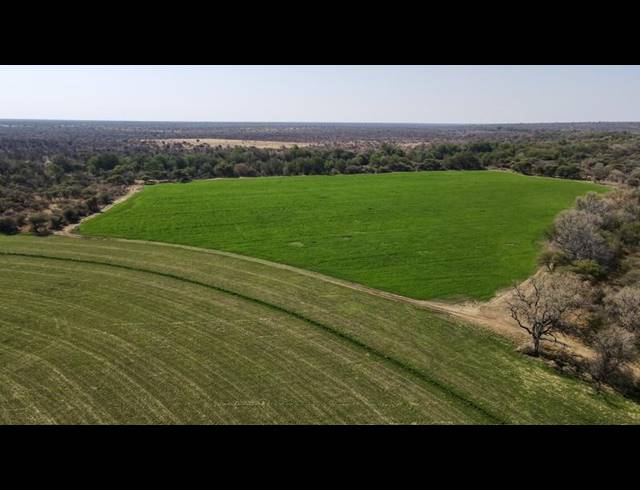 FARM FOR SALE IN THABAZIMBI RURAL